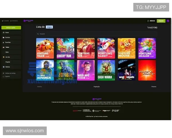 pg娱乐官网入口导航大全，快速找到官方入口，享受优质游戏体验无忧无虑