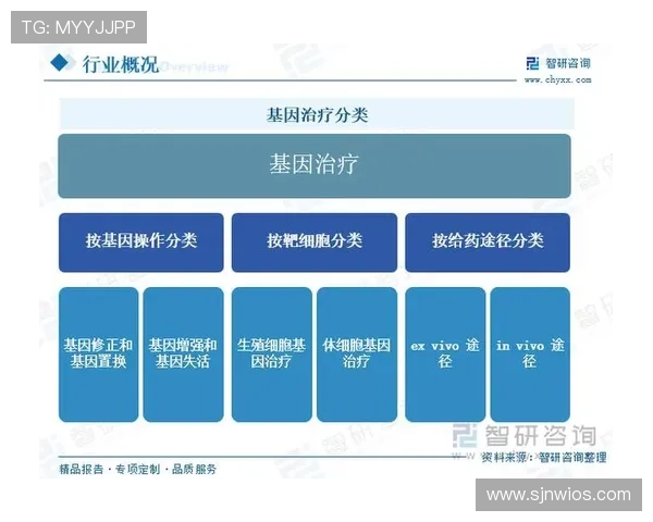 全面解析PG电子官网推荐网的最新发展趋势与行业影响 全面解析PG电子官网推荐网的最新发展趋势与行业影响